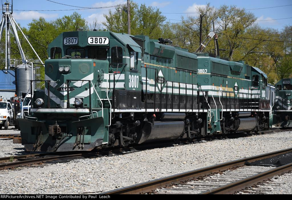 Pair of Geeps wait for call 